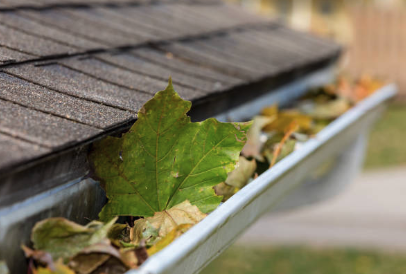 Professional Gutter Installation